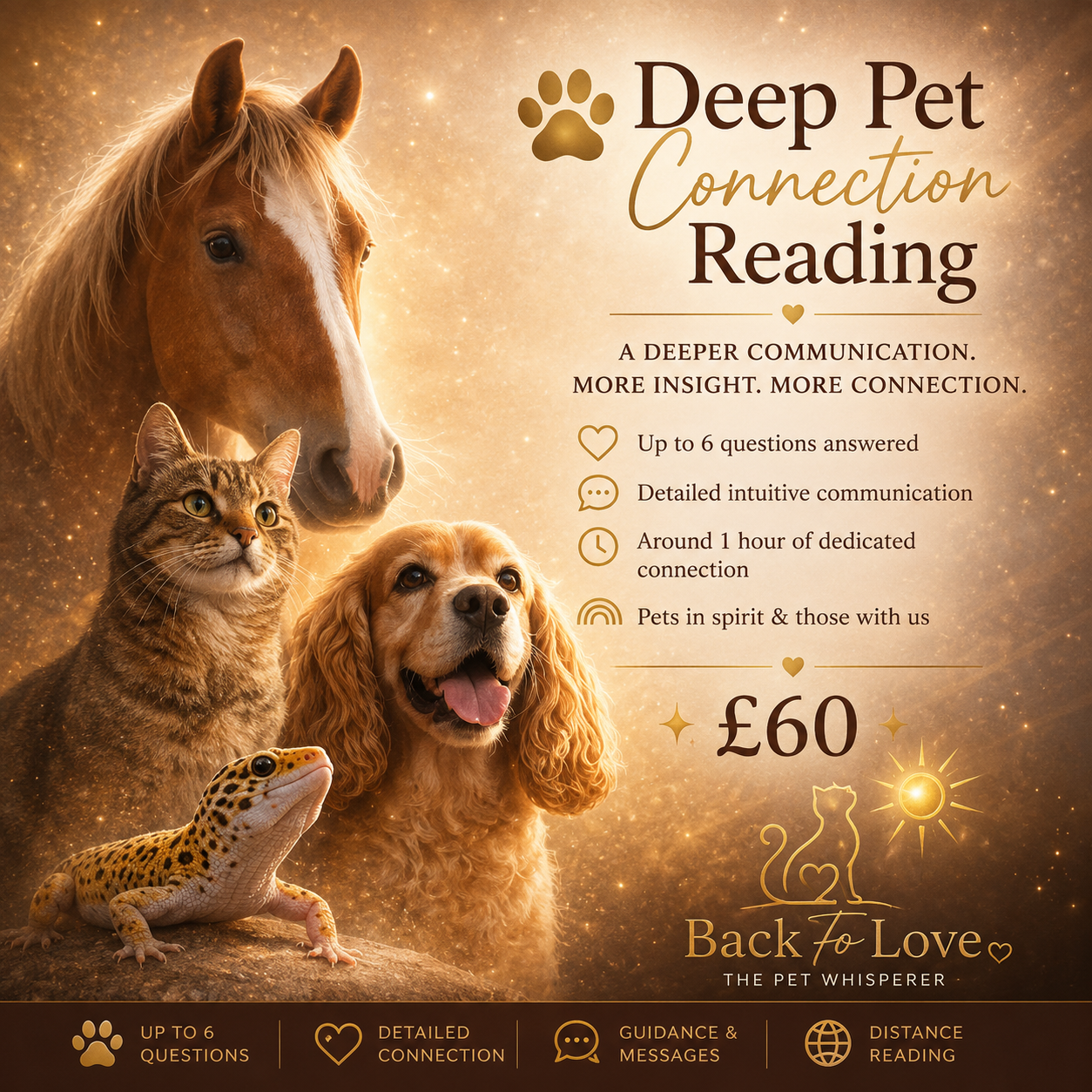 Deep Pet Connection Reading